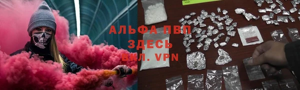 spice Зерноград