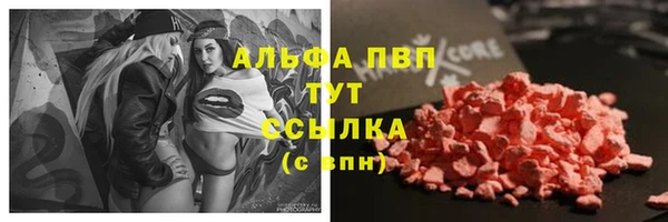 spice Зерноград