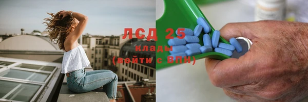 PSILOCYBIN Зеленодольск