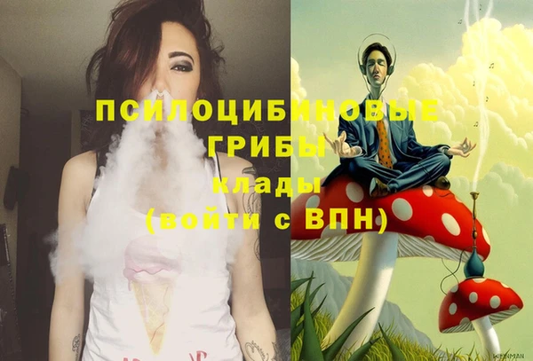 PSILOCYBIN Зеленодольск