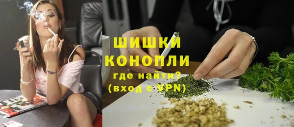гидра Рославль
