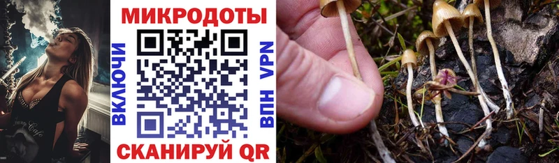 Псилоцибиновые грибы мицелий Сасово